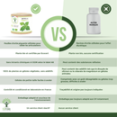 Ortie Bio – Complément alimentaire en gélules pour la santé et le drainage des articulations