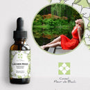 Bachblüten Loslassen – Für mehr Ruhe und Gelassenheit