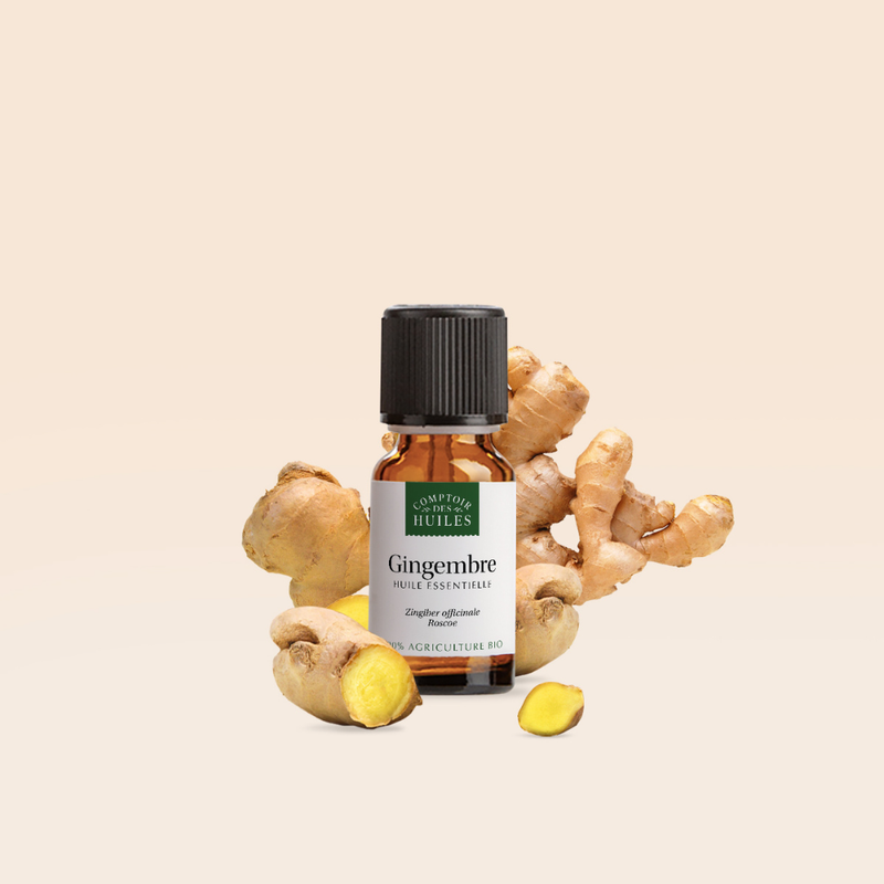 COMPTOIR DES HUILES -  Ätherisches BIO-Ingweröl