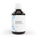 Eine dunkle Flasche Zinzino BalanceOil+ AquaX mit einer blauen Molekülgrafik und dem Logo für die norwegische Formulierung.