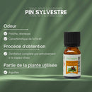 Zen'Arôme - Kiefern-Ätherisches Öl – 100 % natürlich – 10 ml