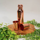 Polierte Kupfer-Wasserflasche und zwei Becher auf einem Holzbrett, umgeben von grünen Pflanzen.