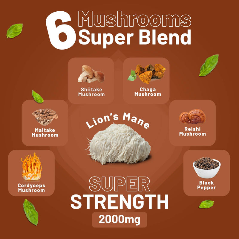 Eine Infografik zeigt eine "6 Mushrooms Super Blend" mit Bildern von Shiitake, Chaga, Maitake, Löwenmähne, Reishi und Cordyceps Pilzen sowie schwarzem Pfeffer, beworben als "SUPER STRENGTH 2000mg".