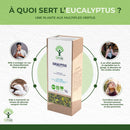 Eine Infografik mit dem Titel „À QUOI SERT L'EUCALYPTUS ?“, die die Vorteile von Bioptimal Eucalyptus Tee hervorhebt. Vier Symbole erklären die Wirkung bei Halsbeschwerden, zur Unterstützung der Atemwege, des Blutzuckerspiegels und zur Beruhigung der Stimmbänder.