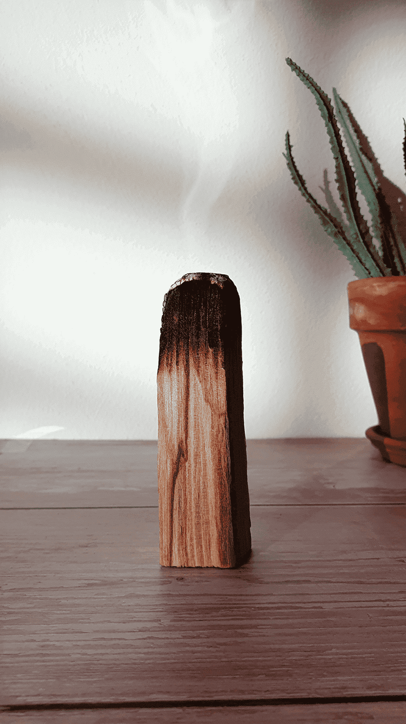 6x Atado de Palo Santo Räucherholz