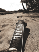 Organic Gotu Kola Capsules – 120 Capsules for 4 Months – Skin, Brain, Circulation