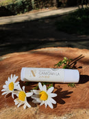 Eine Tube feuchtigkeitsspendender Kamillen-Lippenbalsam auf einer rustikalen Holzscheibe, dekoriert mit frischen weißen Gänseblümchen.