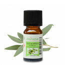 Zen'Arôme - Eukalyptus ätherisches Öl – 100 % Naturrein – 10 ml