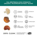 Mushroom 5 Blend — 9300 mg — hochdosiert — 60 Kapseln - Lions Mane- Chaga, Reishi, Shiitake