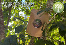 Ein Standbodenbeutel Ancient Purity Soursop Leaves ist im Freien an den Ästen eines Soursop-Baumes fotografiert. Das helle Bild zeigt grüne Blätter und Sonnenlicht, mit dem Text „SOURSOP LEAVES“ links oben und einem runden Ancient Purity Logo rechts überlagert.