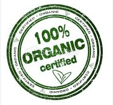 Bio-Arabica-Instantkaffee - Reishi + Maca – 100 g