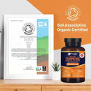 Ein Werbebild mit dem gerahmten Soil Association Organic Certified-Zertifikat neben einer Flasche des Nahrungsergänzungsmittels Prowise Organic Turmeric, Ginger & Black Pepper, das die Bio-Zertifizierung des Produkts hervorhebt.