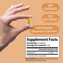 Eine Hand hält eine gelbe CoQ10 Ubichinon-Kapsel, hervorhebend, dass sie "Leicht absorbiert" wird und in einer "120 KAPSELN"-Flasche erhältlich ist, die einen "120 TAGE VORRAT" bietet. Ein "Nährwertangaben"-Etikett zeigt 120mg Coenzym Q pro Portion.