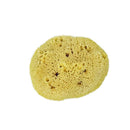 Éponge naturelle Unicorn® (environ 7-8 cm) - Soins durables de la mer