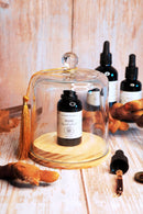 Eine dunkle Glasflasche mit Reishi-Flüssigextrakt in einer Glasglocke auf einem Holzsockel.