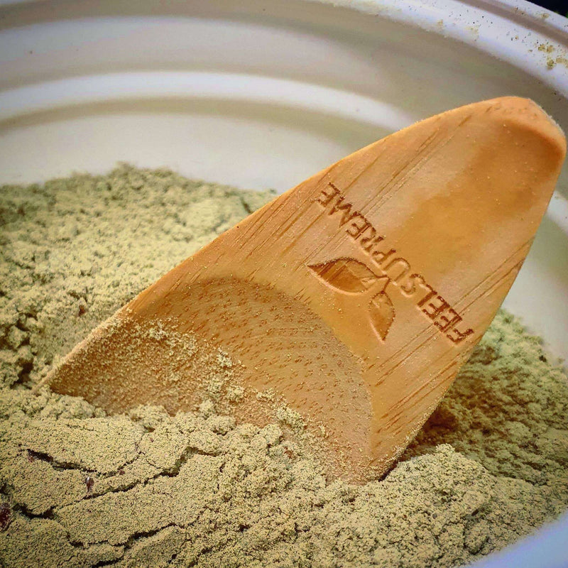 Supreme Mischung aus Gemüse und Champignons | Shittake, Chaga, Maitake, Reishi, Lion's Mane, Superfood