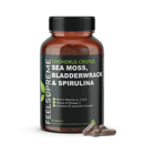 Mousse de mer avec épave de vessie et spiruline