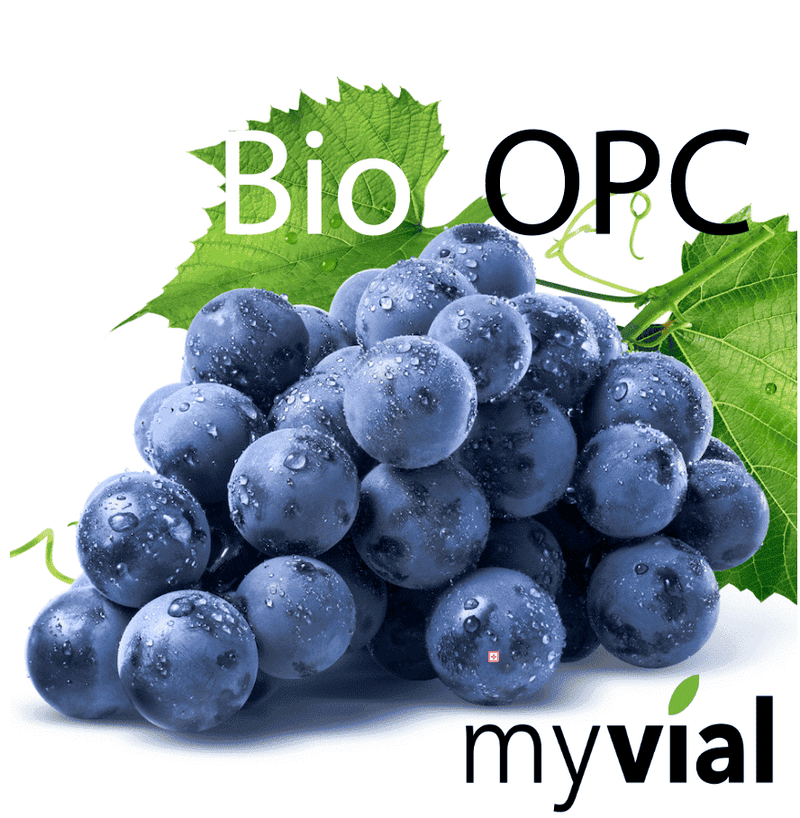 Bio OPC Kapseln Traubenkernpulver + Vit. C 120 Stück - Vegan