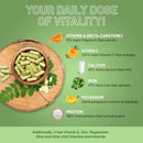 Prowise Healthcare - Bio-Moringa-Kapseln 2000 mg – 120 vegane Kapseln aus Moringablättern