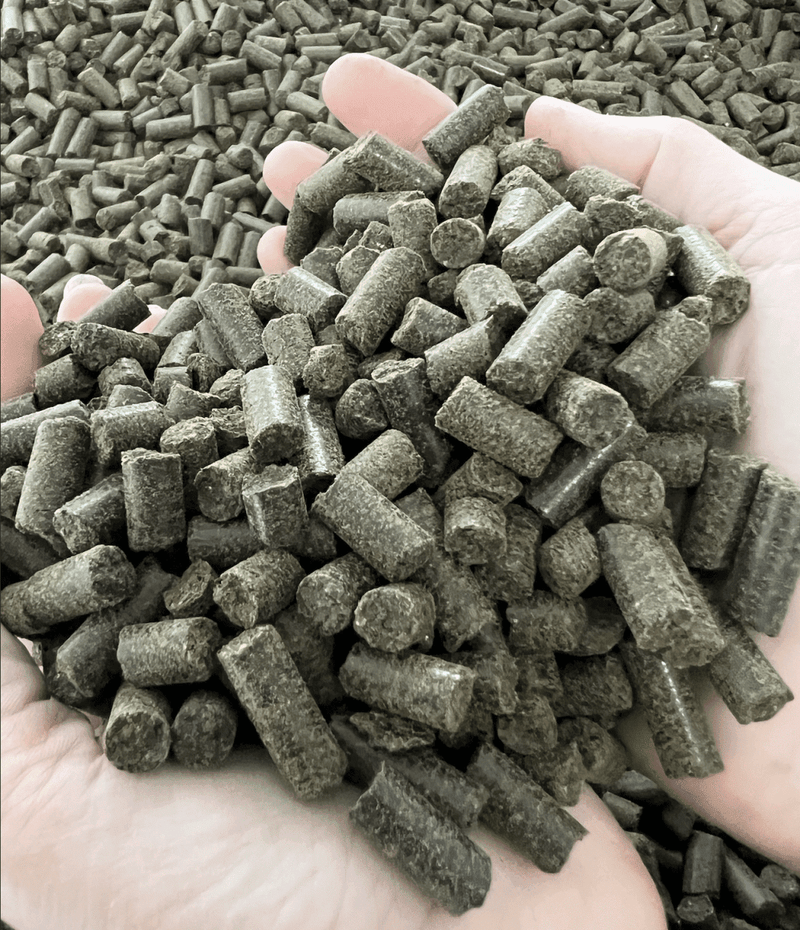 Bio Pferdehanf Hanfpellets Leckerli 5kg