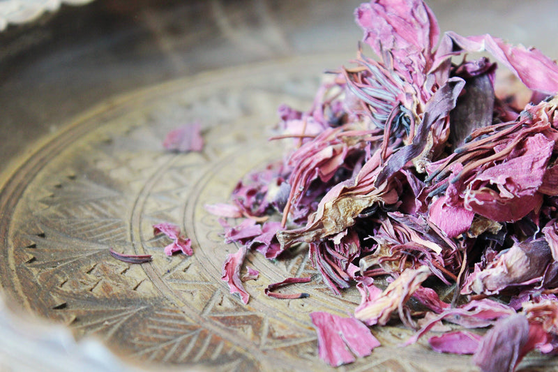 Ayamani Naturals - Red Lotus Nymphaea Rubra Getrocknete Blütenblätter, entspannendes Tonikum