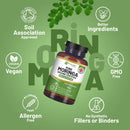 Prowise Healthcare - Bio-Moringa-Kapseln 2000 mg – 120 vegane Kapseln aus Moringablättern
