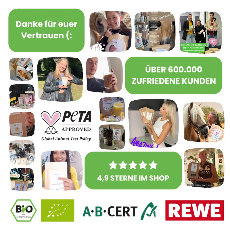 Vitamin B12 Drops + Folsäure - Energie, Nerven, Blutbildung