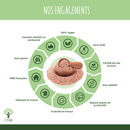 Psyllium Bio – complément alimentaire à base de psyllium en capsules pour une digestion saine et une régulation du cholestérol