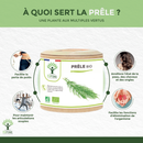 Prêle bio – complément alimentaire en gélules pour soutenir les articulations et la beauté