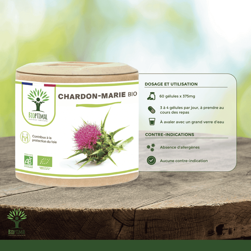 Organic milk thistle – dietary supplement in capsules to support liver health and immune strengthening