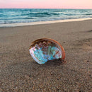 Grosse Abalone-Schale mit Gewinde zum Räuchern Räucherschale Räuchergefäss