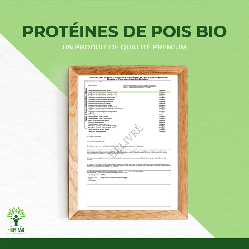 Bio-Erbsenproteinpulver — verpackt in Frankreich