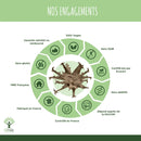 Harpagophytum Bio - Digestion, Appétit, Articulations - Complément alimentaire - en gélules