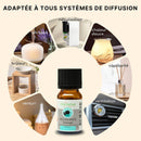 Zen'Arôme - Entspannende ätherische Ölmischung für Diffusor - 10 ml