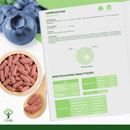 Myrtille bio – Complément alimentaire en capsules pour soutenir la santé oculaire