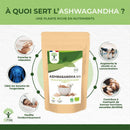 Bio Ashwagandha Pulver 100 g – Natürliches Adaptogen für Energie, Balance und Wohlbefinden