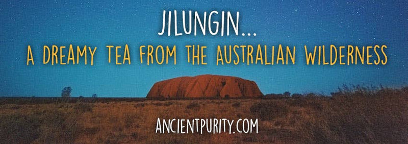 Ein Werbebanner für "Jilungi"-Tee, das eine orange-braune Felsformation in der australischen Wildnis unter einem sternenklaren, blauen Nachthimmel zeigt. Der Text lautet: "Jilungi... Ein verträumter Tee aus der australischen Wildnis."