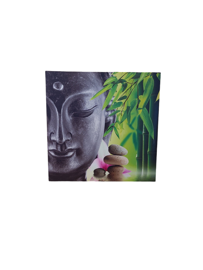 Picture 50x50 with Buddha (used)