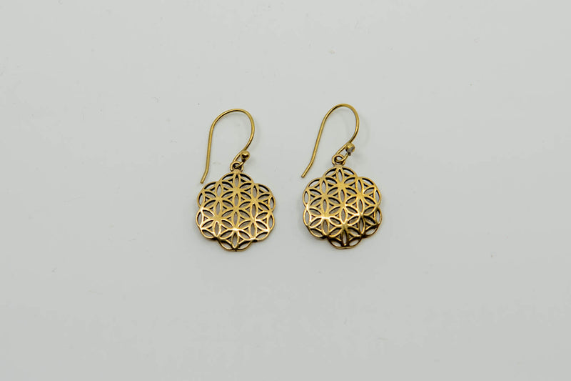Earrings ornament garnet