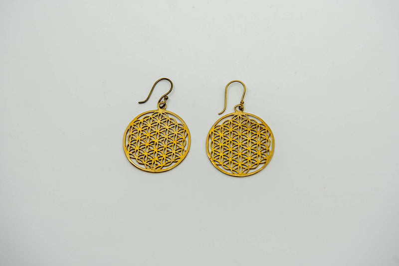 Earrings ornament garnet