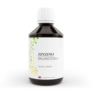 BalanceOil+ Vegan – 300 ml