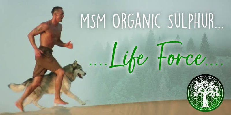Ancient Purity – MSM Organischer Schwefel 99% Reinheit – Haut, Gelenke, Detox