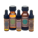 Eine Reihe von fünf bernsteinfarbenen Glasflaschen mit PAAVANI Ayurveda-Ölen in verschiedenen Größen, darunter eine mit Pumpspender, auf weißem Hintergrund.