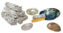 Stapel weißer salbeibündel mit natürlichem schnurband im abalone shell räucherschale set 9 x 7 cm mana shop smudge bowl