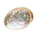 Natürliche abalone shell räucherschale 9 x 7 cm mit schimmerndem, irisierendem rosa-grün im mana shop