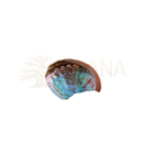 Irideszente abalone schale smudgeschale mit blau-grün schimmernder innenfläche aus dem mana shop auf sandstrand