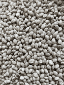 Organic Roasted Hemp Seeds 125 grams | Unhulled - Vegan