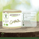 Artemisia bio - Douleurs menstruelles et renforcement musculaire - Complément alimentaire - en capsules