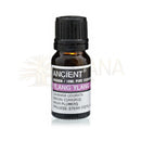 Kleine dunkelbernsteinfarbene glasflasche mit schwarzem verschluss und weißem etiket ylang-ylang ätherisches öl für aromatherapie von ancient wisdom