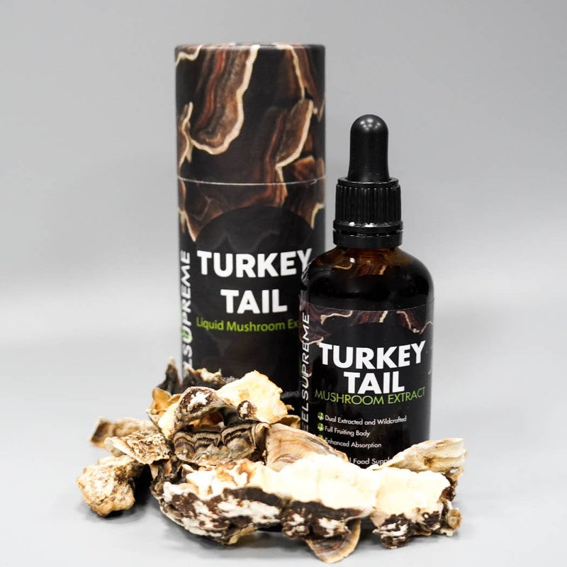 Turkey Tail Mushroom Liquid | High Strength